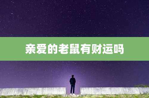 亲爱的老鼠有财运吗
