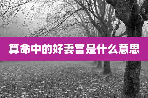 算命中的好妻宫是什么意思
