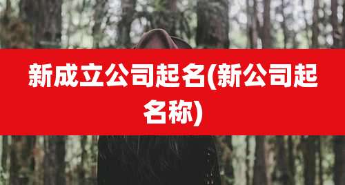 新成立公司起名(新公司起名称)