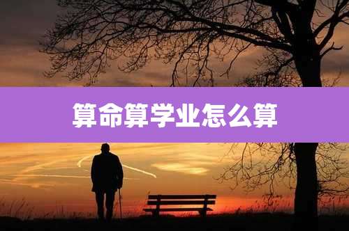 算命算学业怎么算