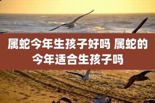 属蛇今年生孩子好吗 属蛇的今年适合生孩子吗