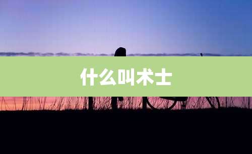 什么叫术士