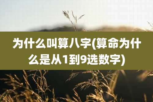 为什么叫算八字(算命为什么是从1到9选数字)