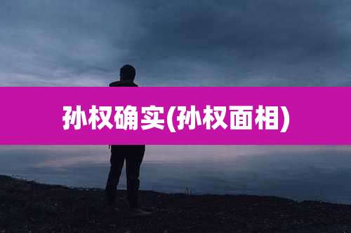 孙权确实(孙权面相)