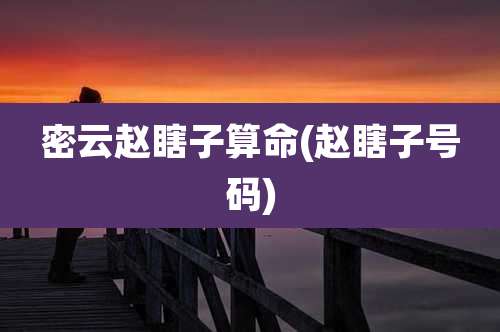 密云赵瞎子算命(赵瞎子号码)