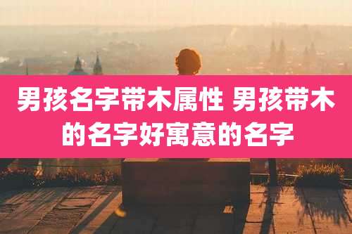 男孩名字带木属性 男孩带木的名字好寓意的名字