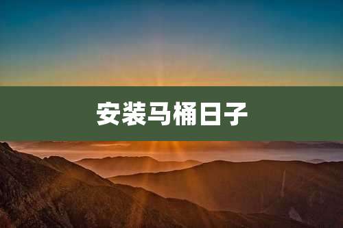 安装马桶日子