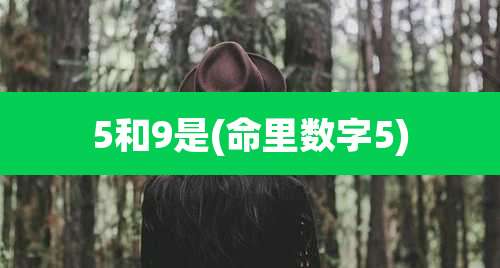 5和9是(命里数字5)