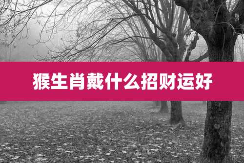 猴生肖戴什么招财运好