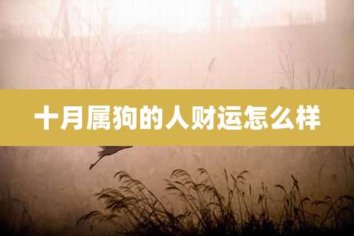 十月属狗的人财运怎么样