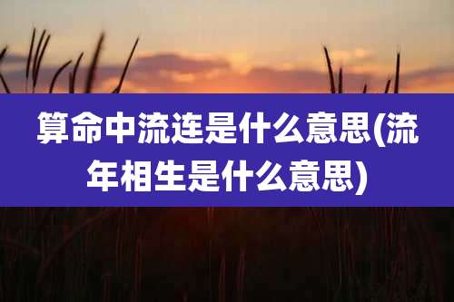 算命中流连是什么意思(流年相生是什么意思)