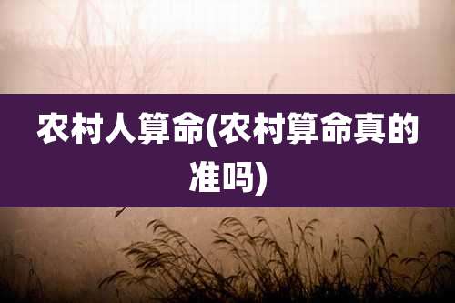 农村人算命(农村算命真的准吗)