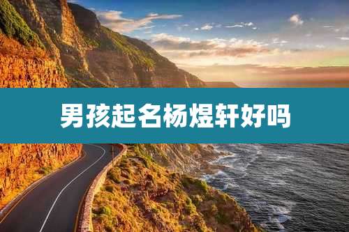 男孩起名杨煜轩好吗