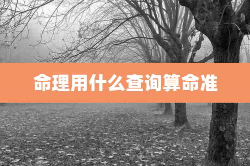 命理用什么查询算命准