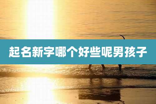 起名新字哪个好些呢男孩子