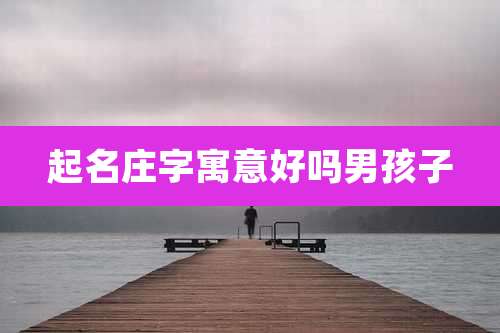 起名庄字寓意好吗男孩子