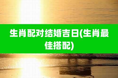 生肖配对结婚吉日(生肖最佳搭配)
