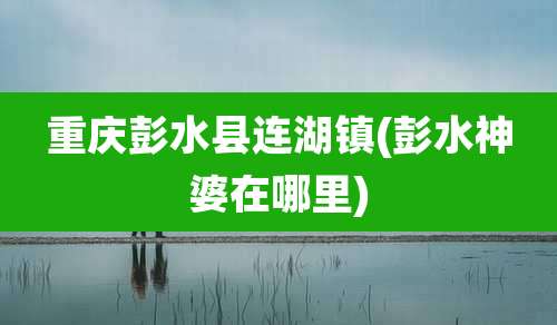 重庆彭水县连湖镇(彭水神婆在哪里)