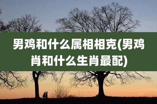 男鸡和什么属相相克(男鸡肖和什么生肖最配)