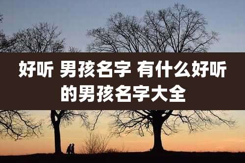 好听 男孩名字 有什么好听的男孩名字大全