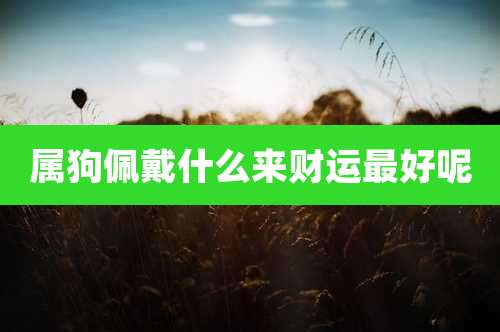 属狗佩戴什么来财运最好呢