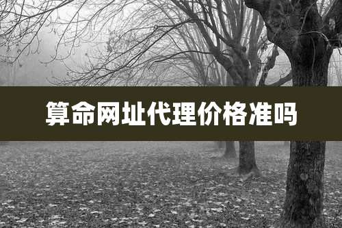 算命网址代理价格准吗