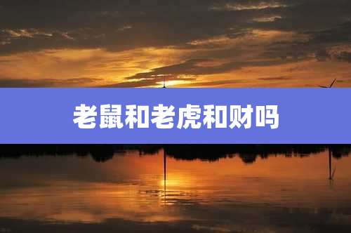 老鼠和老虎和财吗