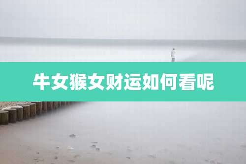 牛女猴女财运如何看呢