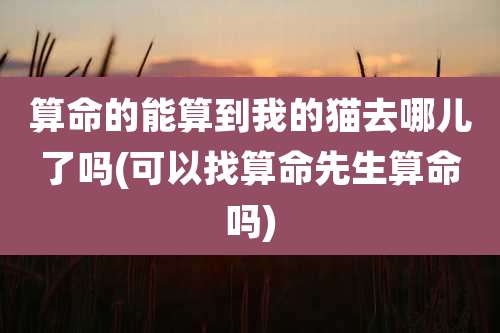 算命的能算到我的猫去哪儿了吗(可以找算命先生算命吗)
