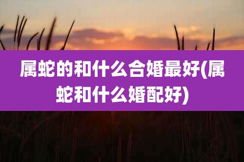 属蛇的和什么合婚最好(属蛇和什么婚配好)