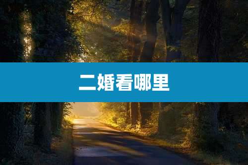 二婚看哪里