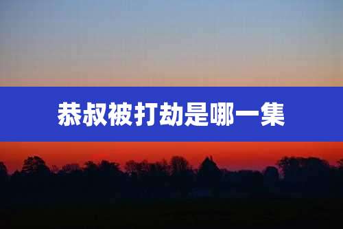 恭叔被打劫是哪一集