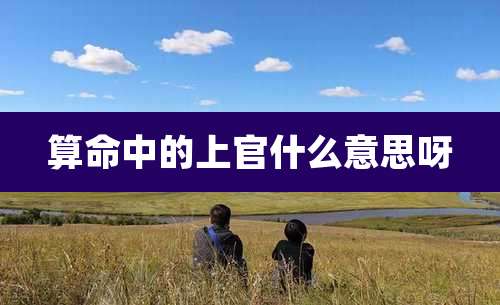 算命中的上官什么意思呀