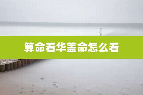 算命看华盖命怎么看