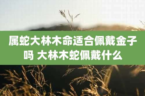属蛇大林木命适合佩戴金子吗 大林木蛇佩戴什么