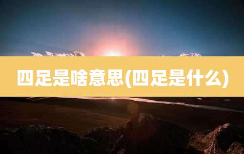 四足是啥意思(四足是什么)