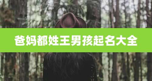 爸妈都姓王男孩起名大全