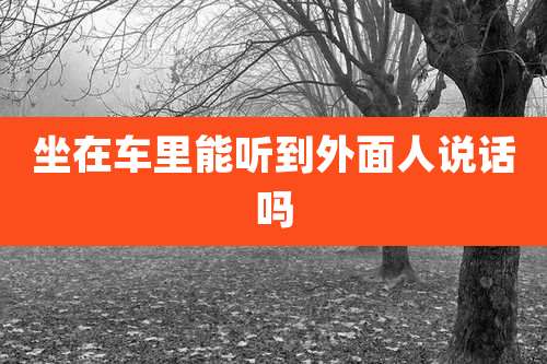 坐在车里能听到外面人说话吗
