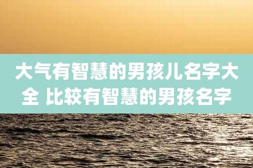大气有智慧的男孩儿名字大全 比较有智慧的男孩名字