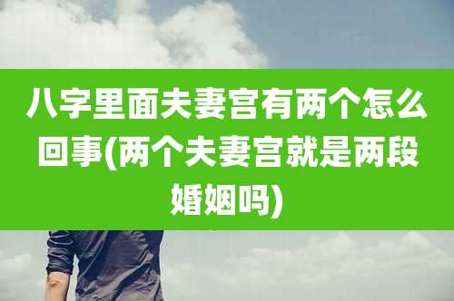 八字里面夫妻宫有两个怎么回事(两个夫妻宫就是两段婚姻吗)