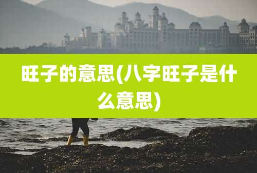旺子的意思(八字旺子是什么意思)