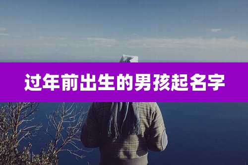 过年前出生的男孩起名字