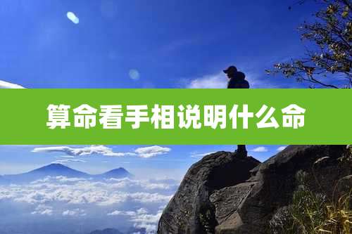 算命看手相说明什么命