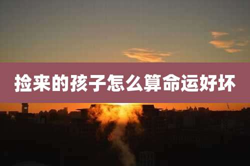 捡来的孩子怎么算命运好坏