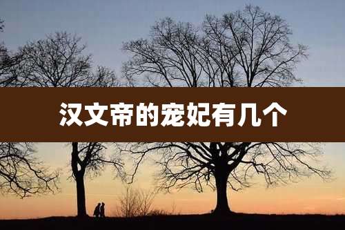 汉文帝的宠妃有几个