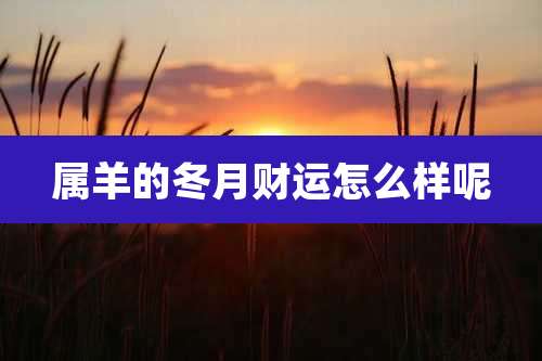 属羊的冬月财运怎么样呢