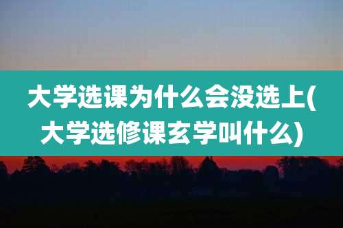 大学选课为什么会没选上(大学选修课玄学叫什么)