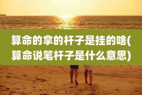 算命的拿的杆子是挂的啥(算命说笔杆子是什么意思)