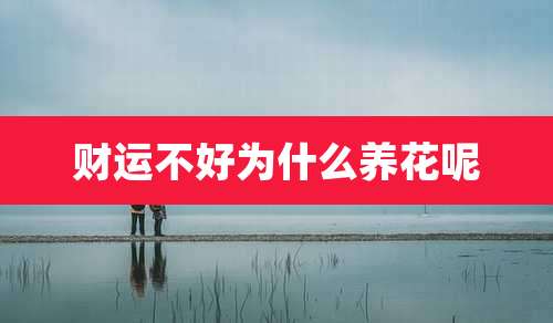财运不好为什么养花呢
