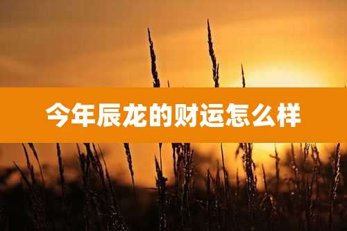 今年辰龙的财运怎么样